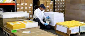 PEST CONTROL CAMBODIA