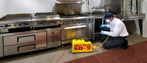 PEST CONTROL CAMBODIA