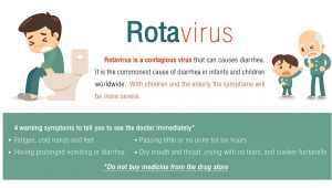 PEST CONTROL CAMBODIA