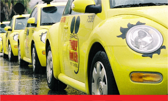 Why Choose Truly Nolen?